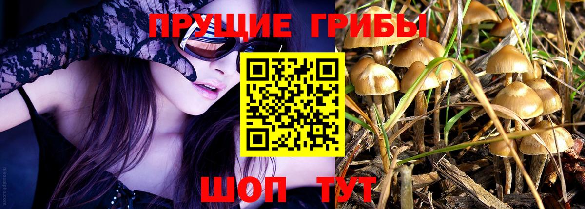 Галлюциногенные грибы ЛСД Заринск